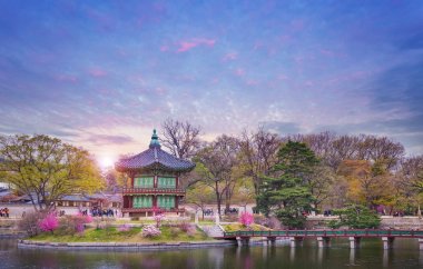 Gyeongbokgung Sarayı Bahar, Güney Kore.