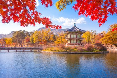 Gyeongbokgung Sarayı ile akçaağaç yaprakları, Seoul, Güney Kore.