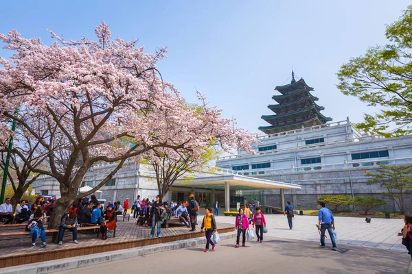 Seoul April 2016 Gyeongbokgung Paleis Met Cherry Blossom Voorjaar Reizen — Stockfoto