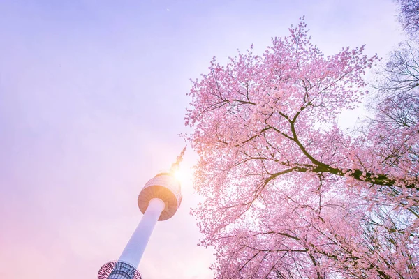 Seúl Corea Abril 2019 Torre Seúl Primavera Con Cerezo Flor — Foto de Stock