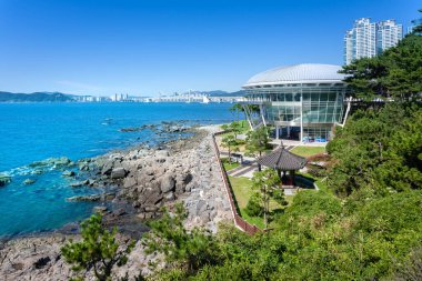 Busan, Güney Kore - 06 Eylül 2014: Busan Deniz Güneşi Günışığı Rahatlama Manzarası Yazın Busan, Kore.