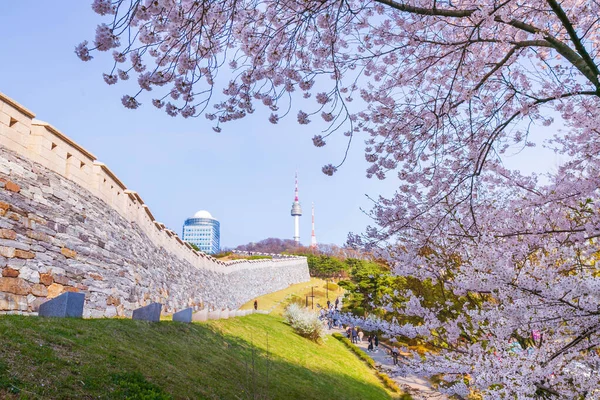 春にソウル市のソウルタワーと桜の木と韓国の古い壁 — ストック写真