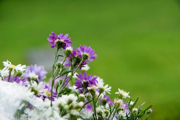 Flower Bouquet for congratulation of university graduate