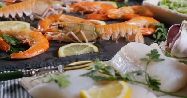 Ingredienser för en spanska skaldjur paella: musslor, räkor, havskräftor, kolja, kung — Stockvideo