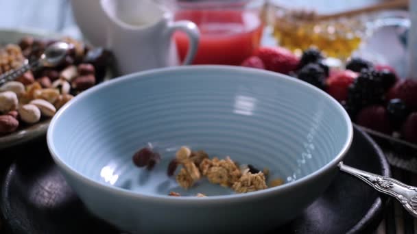 Cereais café da manhã caindo em uma tigela com bagas e frutas secas no fundo. Movimento lento — Vídeo de Stock