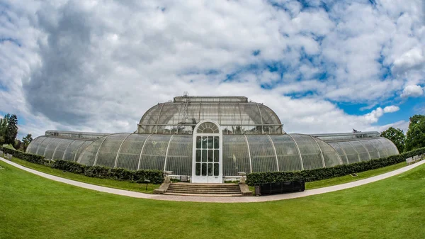 Fish eye of the Palm house in Kew gardens, London