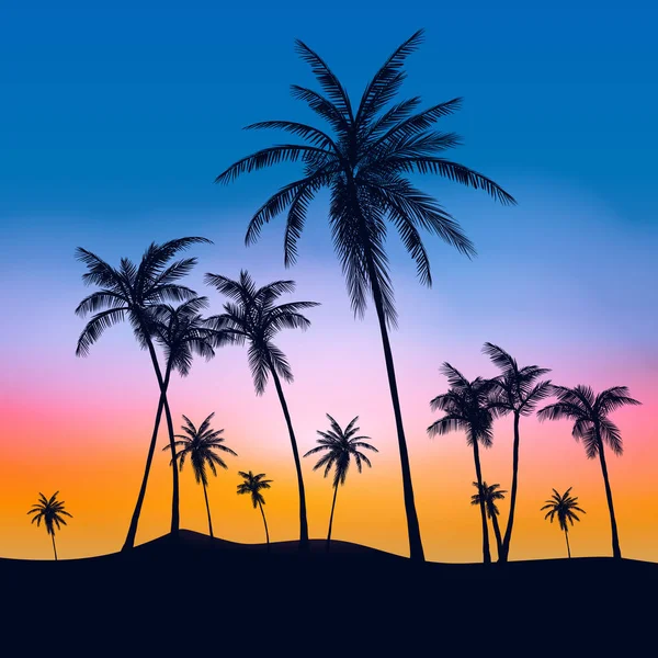 Zomer Palm Bomen Tumblr — Stockvector