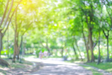 Bulanıklık altın ile park ve bokeh ışık arka plan, doğa, Bahçe