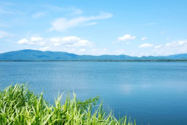 Göl ve mavi gökyüzü manzara, doğa arka plan, Bahar ve summe