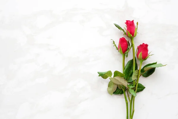情人节背景, 模板, 红玫瑰, 爱的象征, — 图库照片