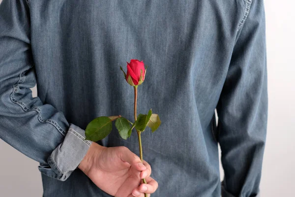 Valentine conceito, Homem segurando rosa vermelha escondendo-se em volta no branco — Fotografia de Stock