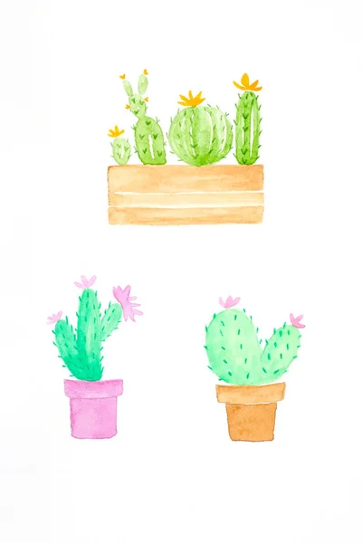 Pittura ad acquerello, set di cactus in stile acquerello su bianco — Foto Stock