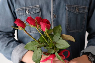 Sevgililer kavramı, beyaz zemin üzerine kırmızı gül tutan adam