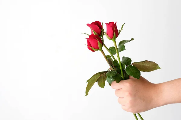 Valentin fogalom, az ember kezét gazdaságot piros rózsák, fehér háttérb — Stock Fotó