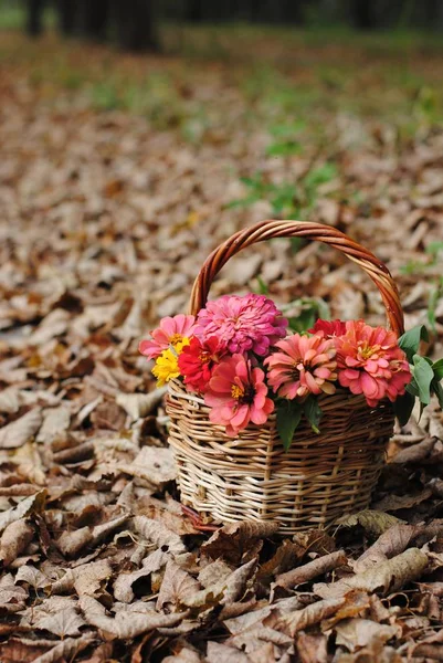 Basket of flowers.