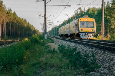 yolcu Elektrikli tren