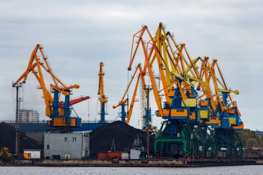 Sarı kargo Vinçler