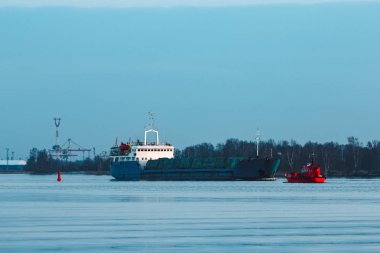 Mavi toplu taşıyıcı