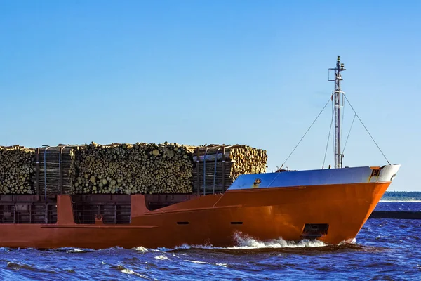 Oranje bulkcarrier — Stockfoto