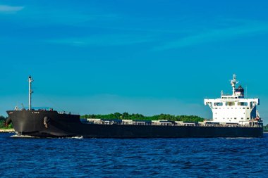 Siyah toplu taşıyıcı