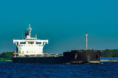 Siyah toplu taşıyıcı