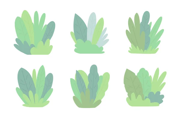 Ensemble Compositions Partir Grandes Feuilles Plantes Flore Pour Fond — Image vectorielle