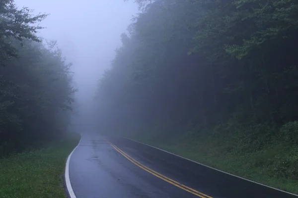 Αμερικανική Smokey Mountain δρόμους στο δάσος με πολύ ομίχλη — Φωτογραφία Αρχείου