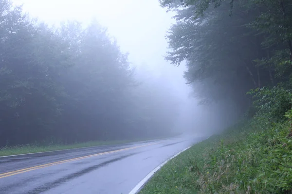 Πυκνή ομίχλη στο δρόμο μέσα στο δάσος, προκαλώντας περιορισμένες Visaility — Φωτογραφία Αρχείου