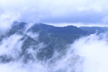 Tennessee dağlar bulutlar ve yoğun bir sis manzaralı