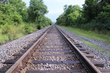 Vintage eski tren rayları ormanda geri