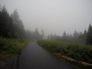 Tennessee, ABD 'de küçük Misty dağ yolu yolu