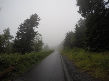 Tennessee Smokey Dağları küçük yürüyüş yolu yolu