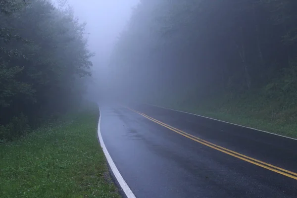 Misty Misterious Road, a sötét erdőben, Amerikai — Stock Fotó