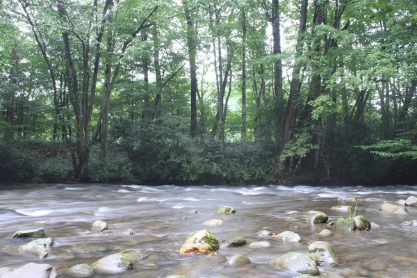 Río de montaña con suave musgo cubierto Rocas — Foto de Stock