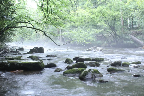 Natürlicher Fluss mit Felsen und Bäumen — Stockfoto