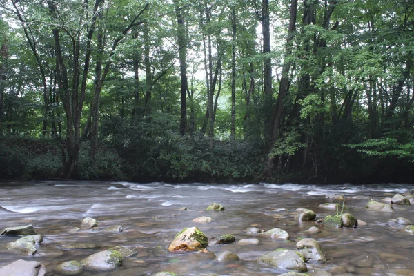 Smokey Mountains słodkowodne rzeka strumień w lasach — Zdjęcie stockowe