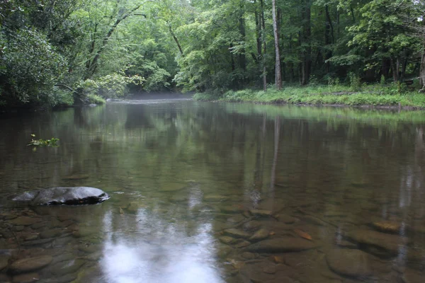 Río de superficie lisa en el bosque americano — Foto de Stock