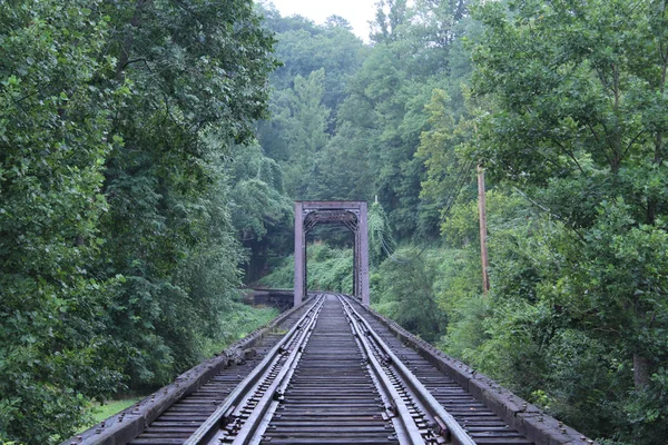 Pistas de tren de madera y metal oxidado en el bosque — Foto de Stock