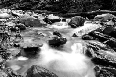 Siyah beyaz düşük çekim hızı fotoğraf küçük nehir orman yosunlu kayalar ile.