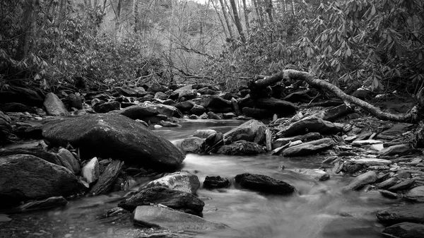 グレート ・ スモーキー山脈国立公園の深い森の中で活発な川の黒と白の自然写真. — ストック写真