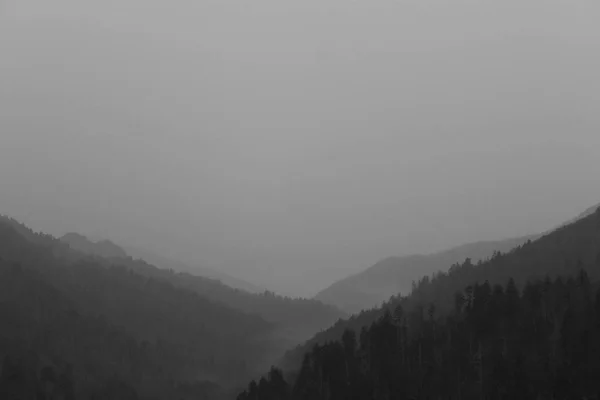 Fotografia em preto e branco da natureza da paisagem do Parque Nacional das Montanhas Smoky . — Fotografia de Stock