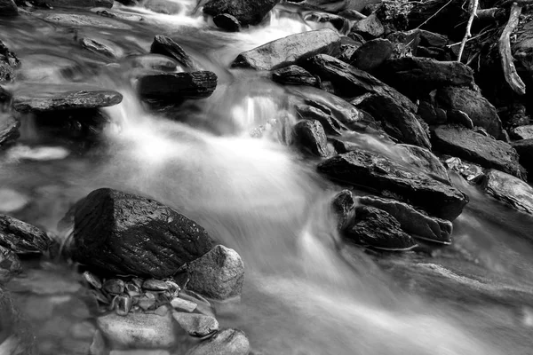 Fotografia de velocidade de obturador lento preto e branco de um pequeno rio com rochas cobertas de musgo na floresta . — Fotografia de Stock