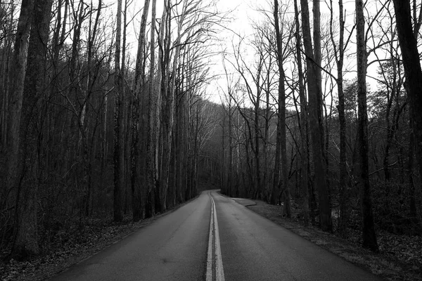 Black and White Street Photography of a Highway Through the Great Smoky Mountains.