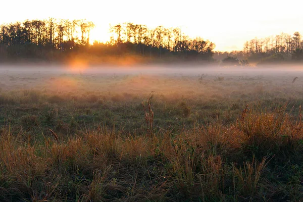 Рано утром рассвет над фермерским полем с густым туманом на горизонте . — стоковое фото