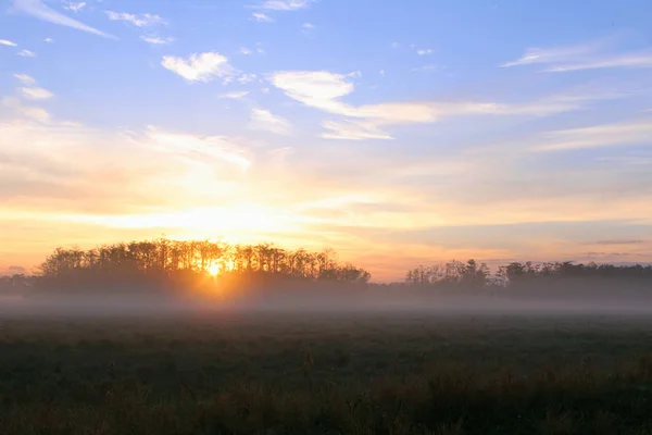 Early Morning Sunrise over a Farm Field with Heavy Mist on the Grass and Trees.