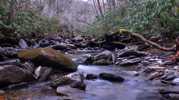 작은 강 이끼로 덮여 그레이트 스모키 산맥 국립공원의 깊은 숲에서 돌. — 스톡 사진