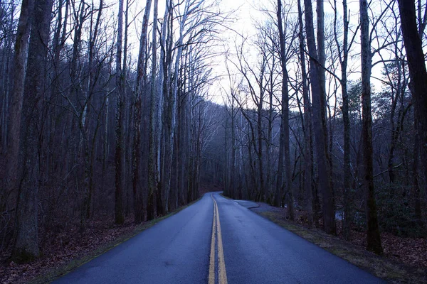 Utcai fényképezést egy hosszú üres út az erdőben, a Great Smoky Mountains Nemzeti Park. — Stock Fotó