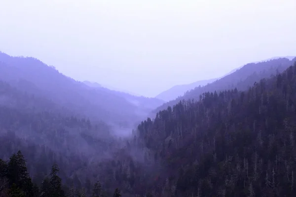 Landschaftsaufnahmen des großen rauchigen Bergnationalparks mit dichtem Nebel. — Stockfoto