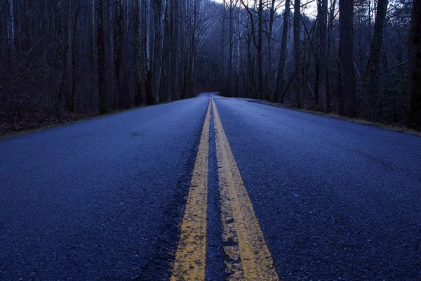 Perspektivische Straßenfotografie einer langen, leeren Straße im Wald im rauchigen Nationalpark der Berge. — Stockfoto