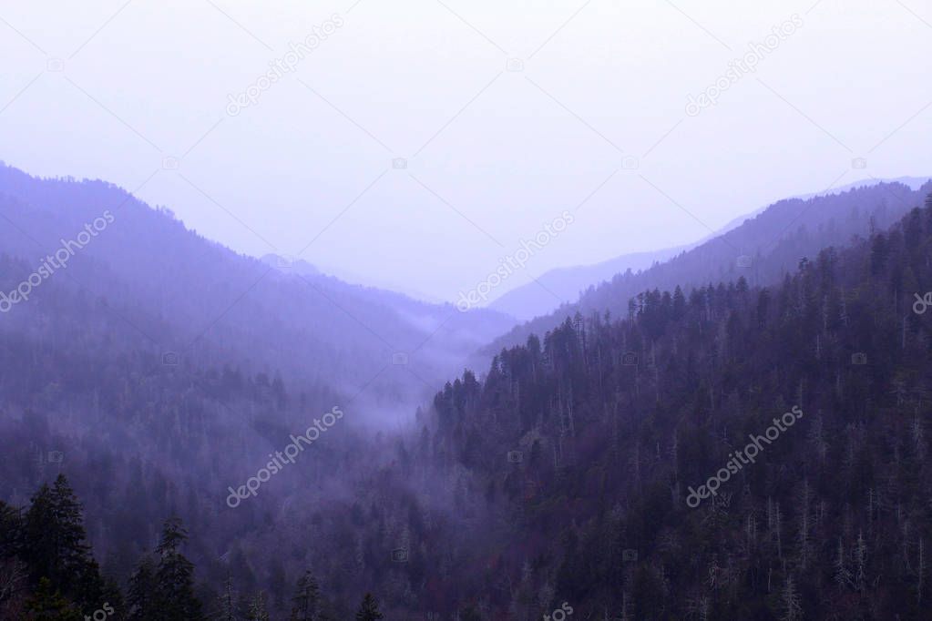 Landscape Photography of the Great Smokey Mountains National Park with Heavy Fog.